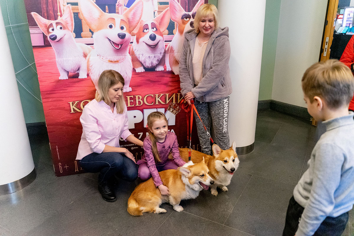 Нашествие корги перед показом «Королевский корги»