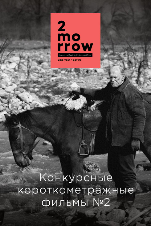 Конкурсные короткометражные фильмы № 2