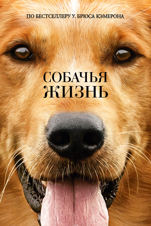 Собачья жизнь