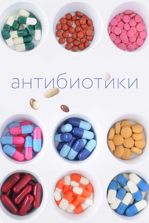 Фестиваль науки «КСТАТИ»: «Микробиота: на страже здоровья» и «Антибиотики»