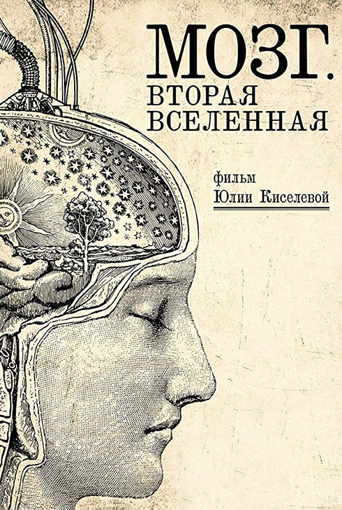 Мозг. Вторая вселенная