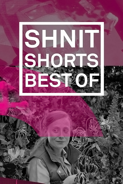 SHNIT SHORTS | BEST OF