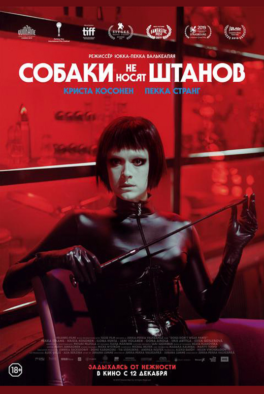 Собаки не&nbsp;носят штанов