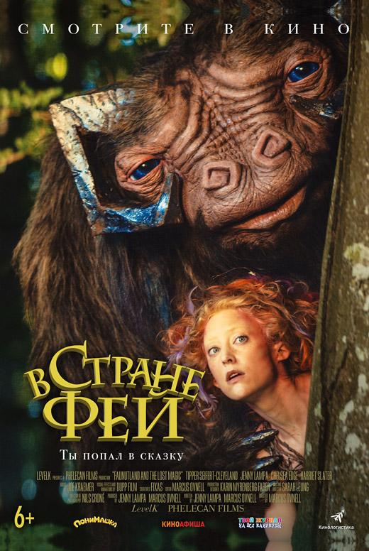 В Стране фей