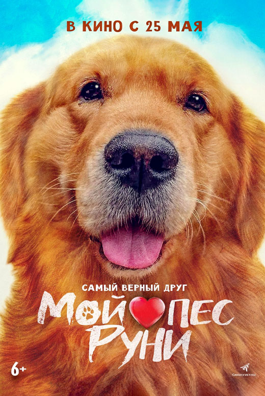 Мой пёс Руни