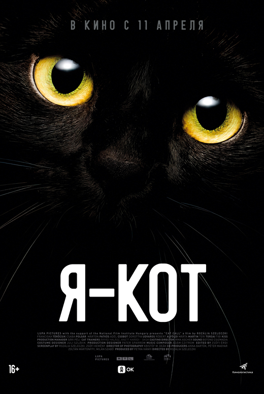 Я&nbsp;— кот