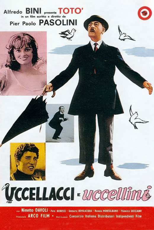 Птицы большие и малые