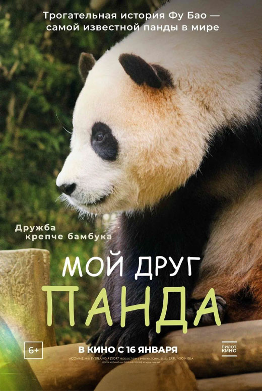Мой друг панда