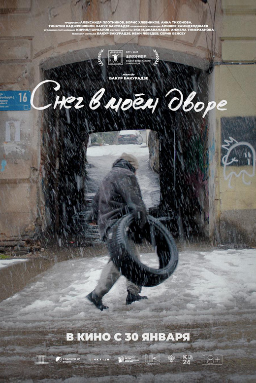 Снег в моём дворе