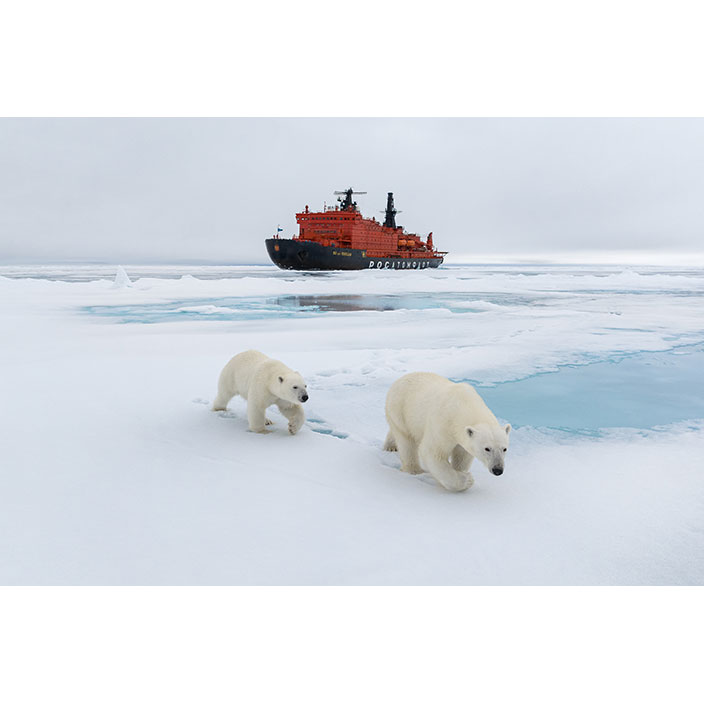 Фотография Вадима Махорова «Иди за&nbsp;мной», 2023